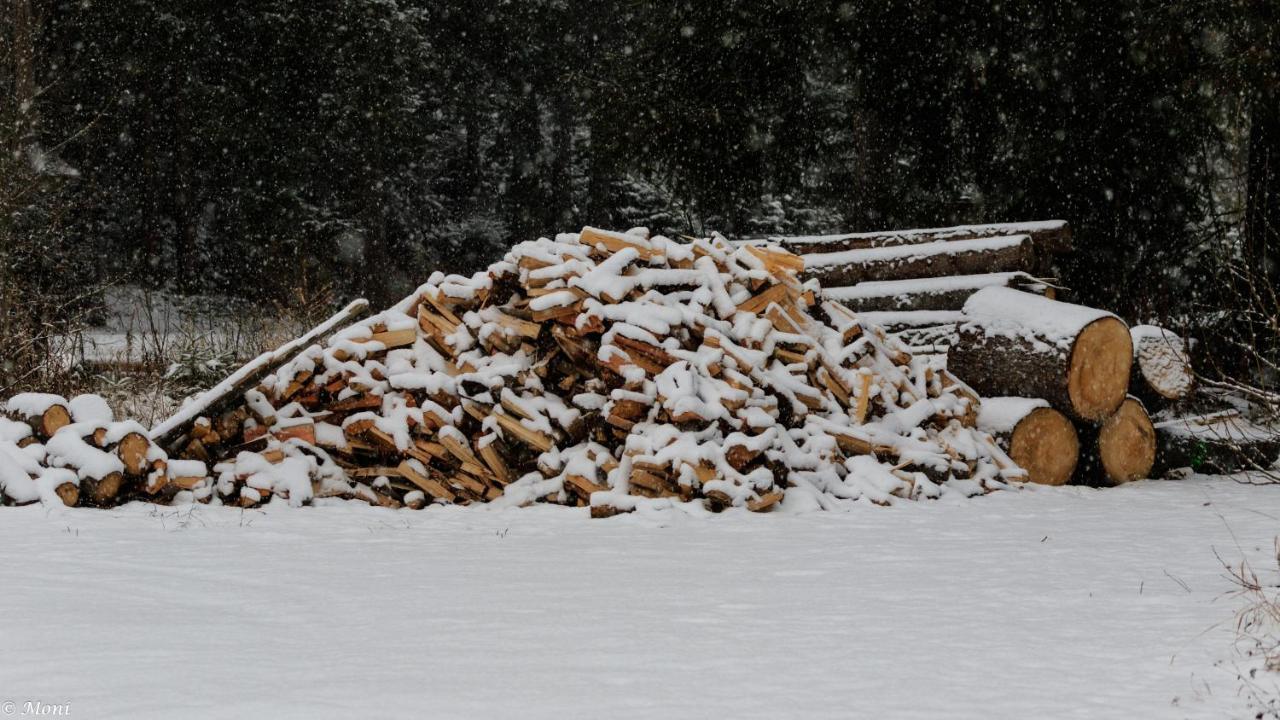 Haus Timmler Lägenhet Sankt Anton am Arlberg Exteriör bild