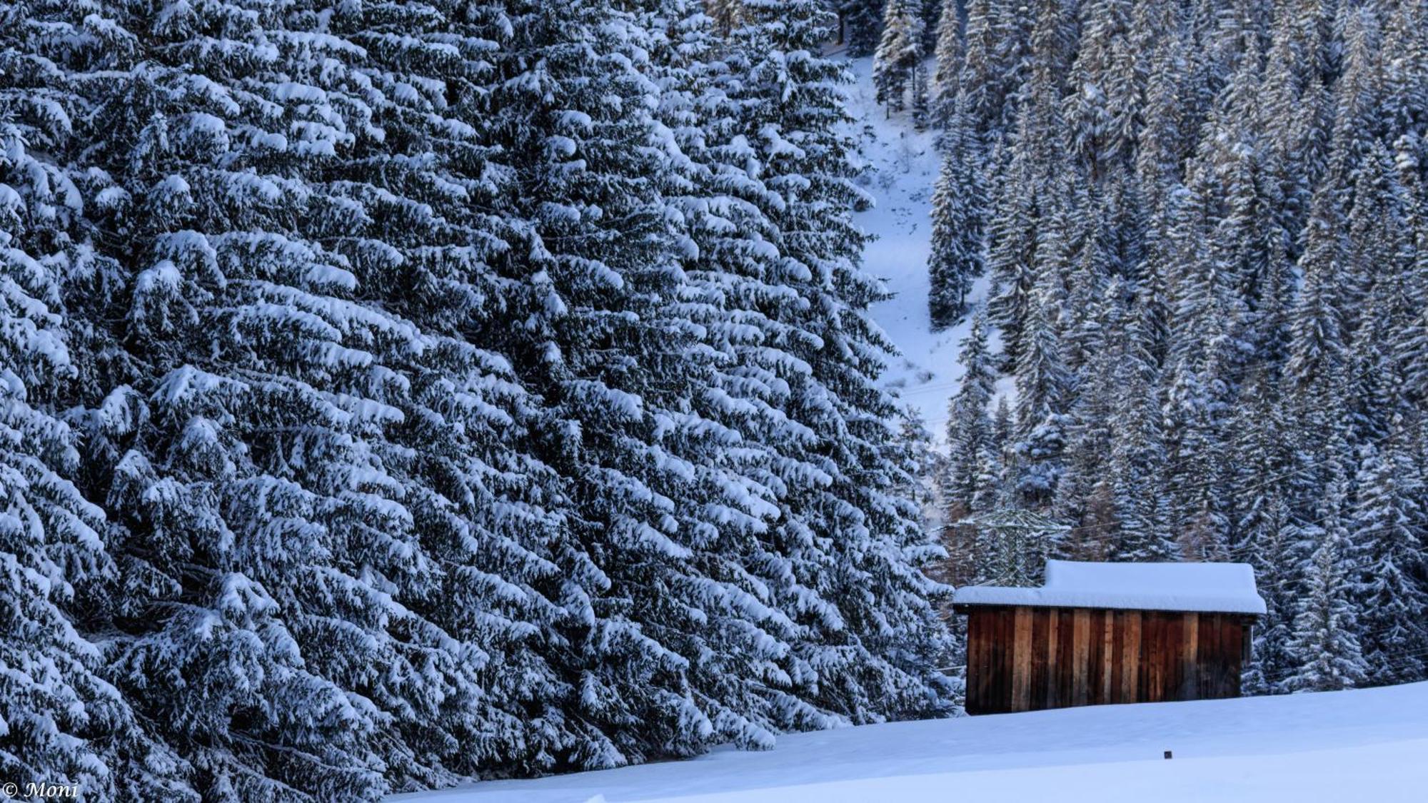 Haus Timmler Lägenhet Sankt Anton am Arlberg Exteriör bild