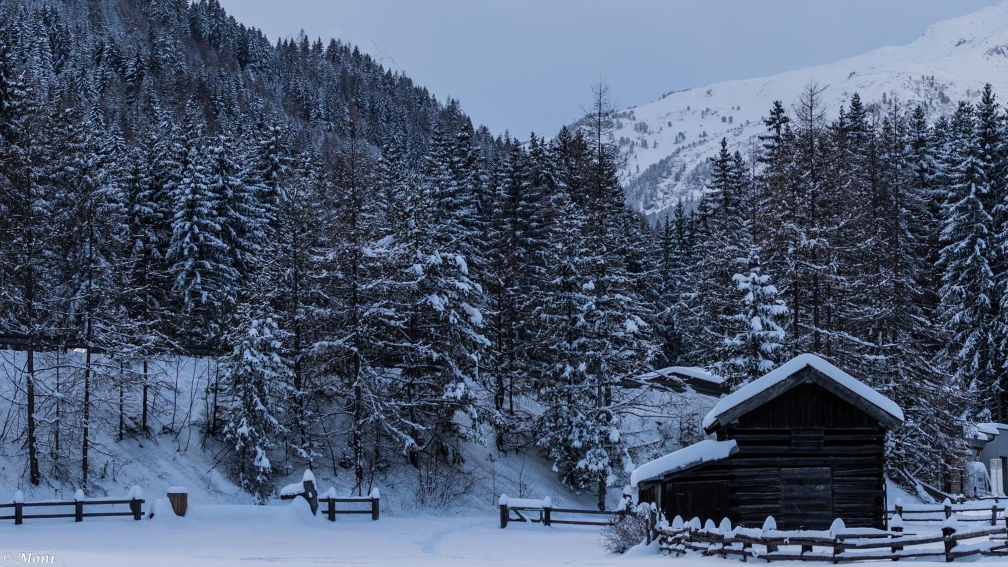 Haus Timmler Lägenhet Sankt Anton am Arlberg Exteriör bild